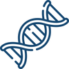 Inflammation and Immune Response
